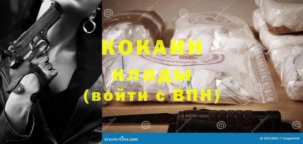 сатива Пересвет