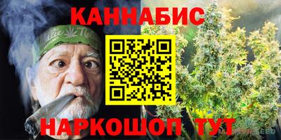 СК Канаш