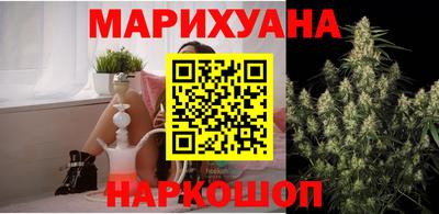 гашик Камышлов