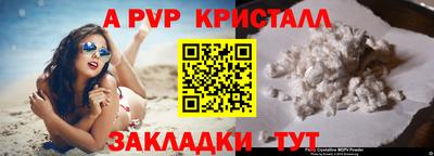 гашик Камышлов