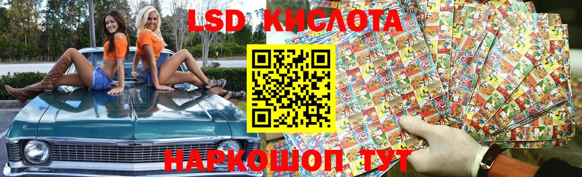 Псилоцибиновые грибы Заинск