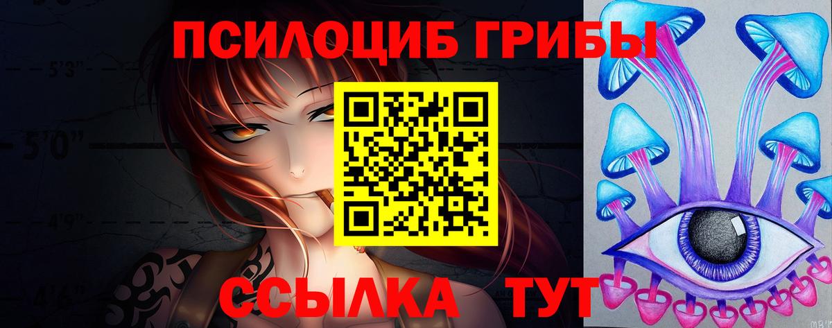цены наркотик  Вход с VPN  Заинск  Псилоцибиновые грибы GOLDEN TEACHER 